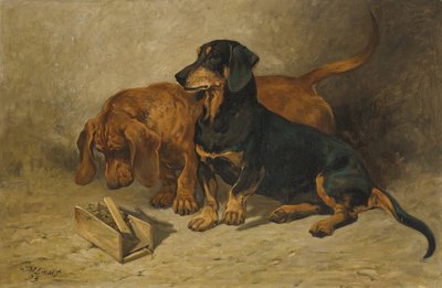 Dachshunds, 1993 by John Emms
