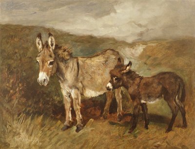 Donkeys out on the Moor, c.1890 by John Emms