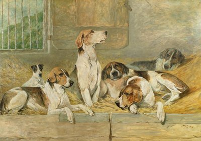 Hounds by John Emms