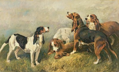 Hounds with a Hare by John Emms