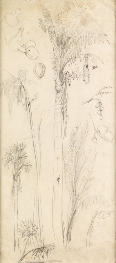 Palm Trees by John Everett Millais