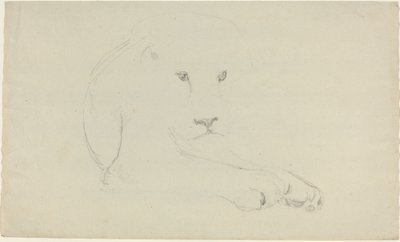 Lion by John Flaxman