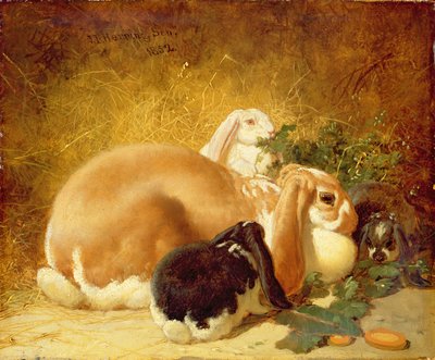 Rabbits, 1852 by John Frederick Herring Junior