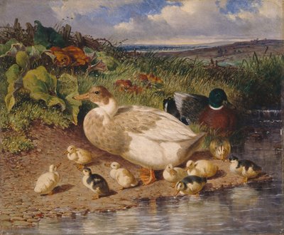 Ducks by a Stream by John Frederick Herring Snr