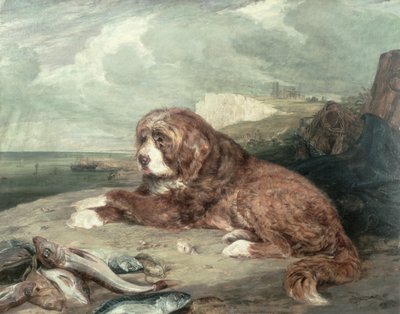 An Old Newfoundland Dog by John Frederick Lewis