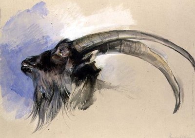 Head of a Steinbock by John Frederick Lewis