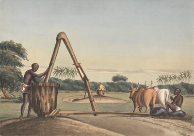 The Checkoo or Oil Mill by John Gantz
