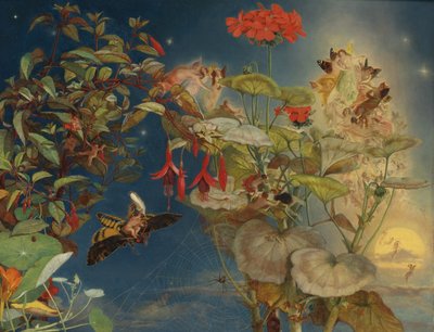 Midsummer Night