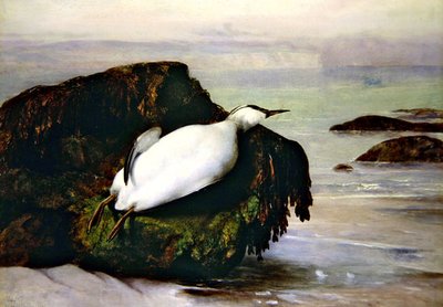 Shanklin by John George Naish