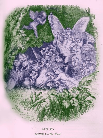 A Midsummer Night