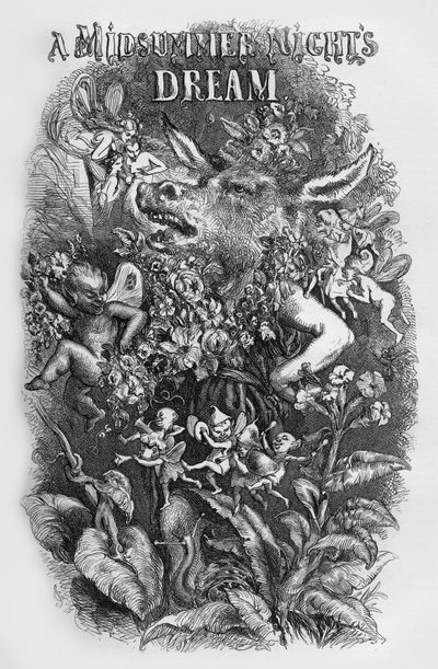 A Midsummer Night