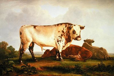 Bull by John Glover