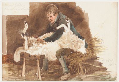 Shearing sheep, 1808 by John Harden