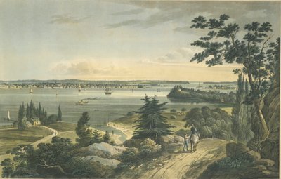 New York from Weehawk by John Hill