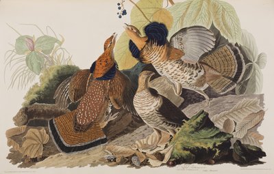 Illustration from 