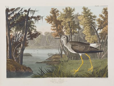 Illustration from 