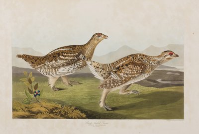 Illustration from 