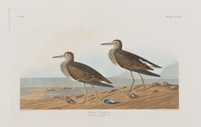 Illustration from 