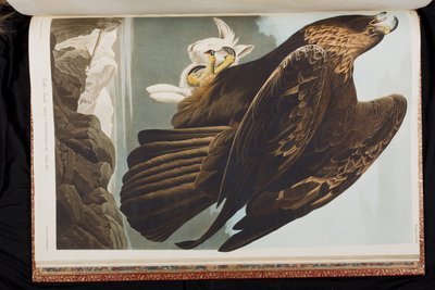 Illustration from 