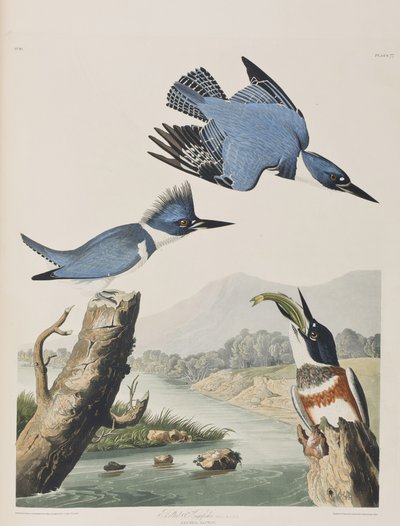 Illustration from 