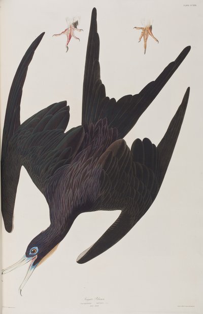Illustration from 