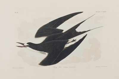 Illustration from 