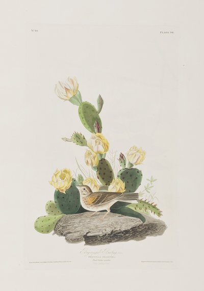 Illustration from 
