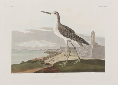 Illustration from 