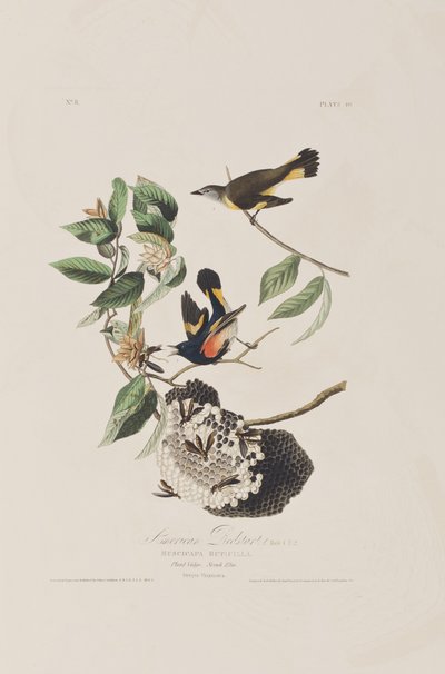 Illustration from 