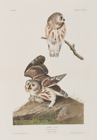 Illustration from 