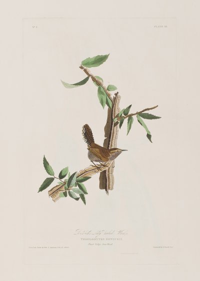 Illustration from 