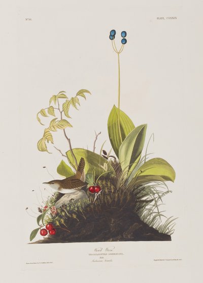 Illustration from 