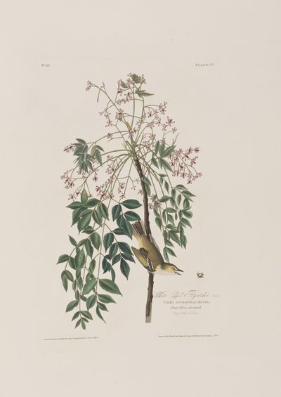 Illustration from 