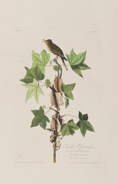 Illustration from 