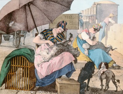 The Dog Groomers by John James Chalon