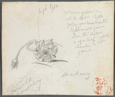 Strawberry Blossom by John La Farge