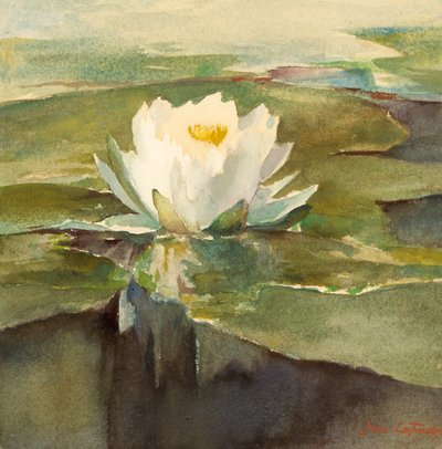 Water Lily in Sunlight, ca. 1883 by John La Farge