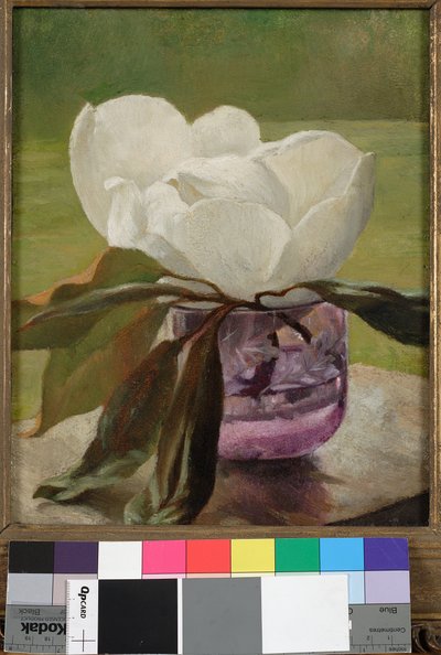 Magnolia Blossom by John La Farge or Lafarge
