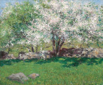 Apple Trees by John Leslie Breck