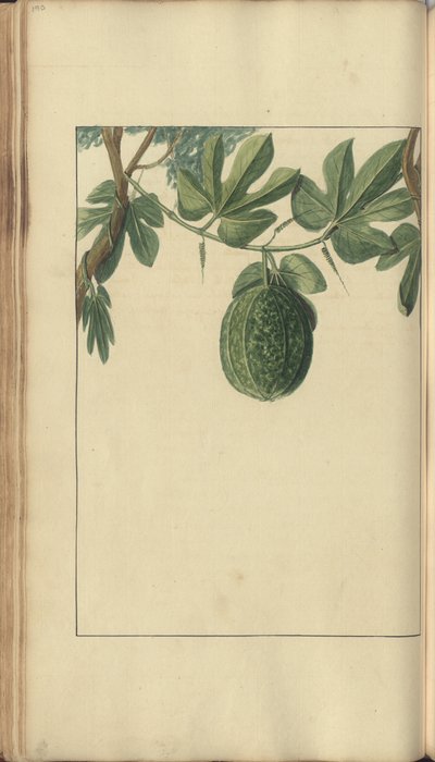 A page from the 