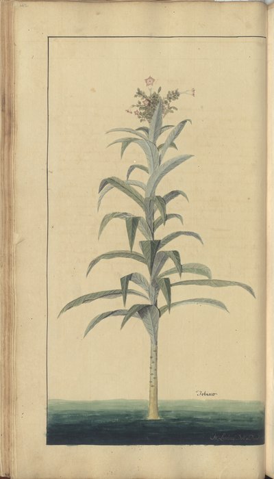 A page from the 