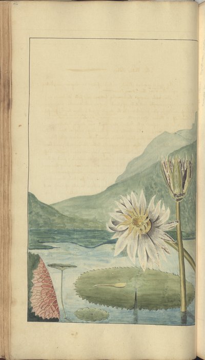 A Page from the 