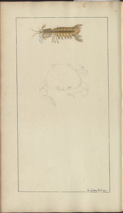 Lindsay Drawings Vol. VII, 24 by John Lindsay