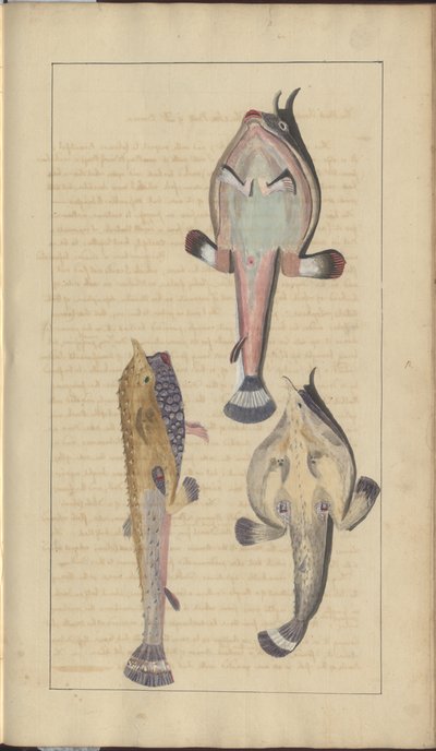 Lindsay Drawings Vol. VII, 27 by John Lindsay
