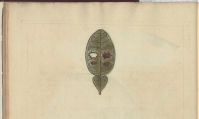 Lindsay Drawings Vol. VII, 3 by John Lindsay