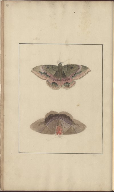 Lindsay Drawings Vol. VI by John Lindsay