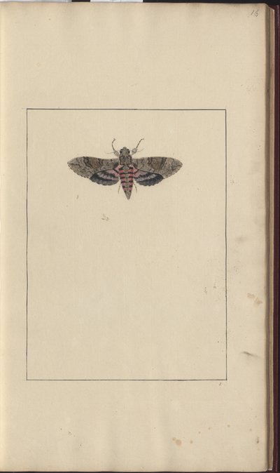 Lindsay Drawings Vol. VI by John Lindsay