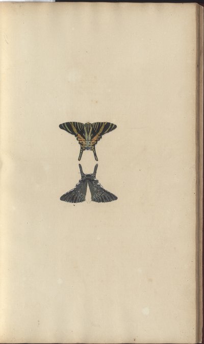Lindsay Drawings Vol. VI, 48 by John Lindsay