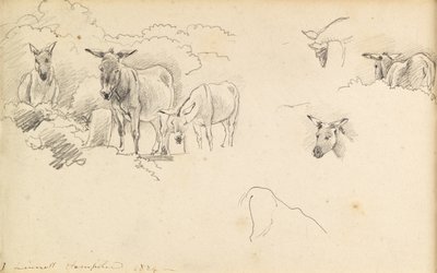 Donkeys, 1824 by John Linnell