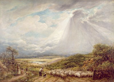 Driving the Flock by John Linnell